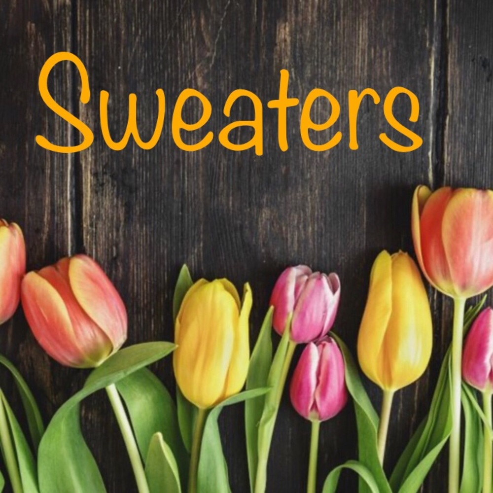 Women’s Sweaters 🧶